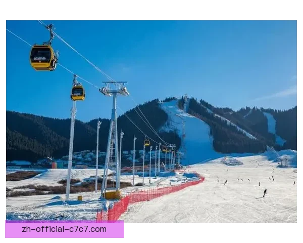 冬季滑雪：全球热门滑雪胜地排名大揭秘!