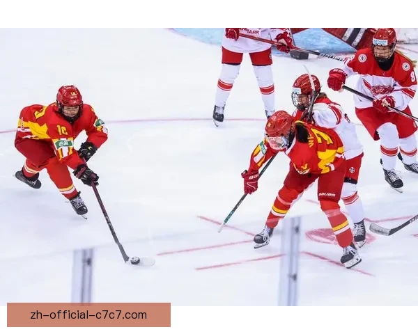 冰球积分榜排名及球队数据分析