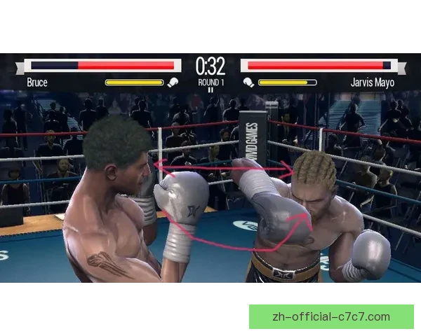 拳击技巧全攻略：绝密教学视频大揭秘