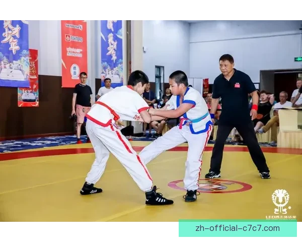 搏击风云：摔跤巅峰争霸