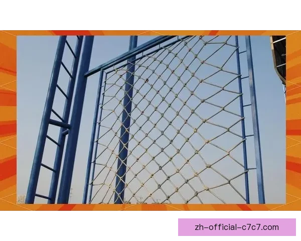 攀岩训练全方位指南：技巧、策略与挑战